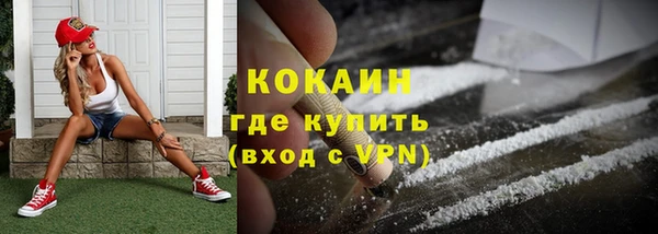 spice Краснослободск