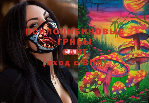дмт Ростов